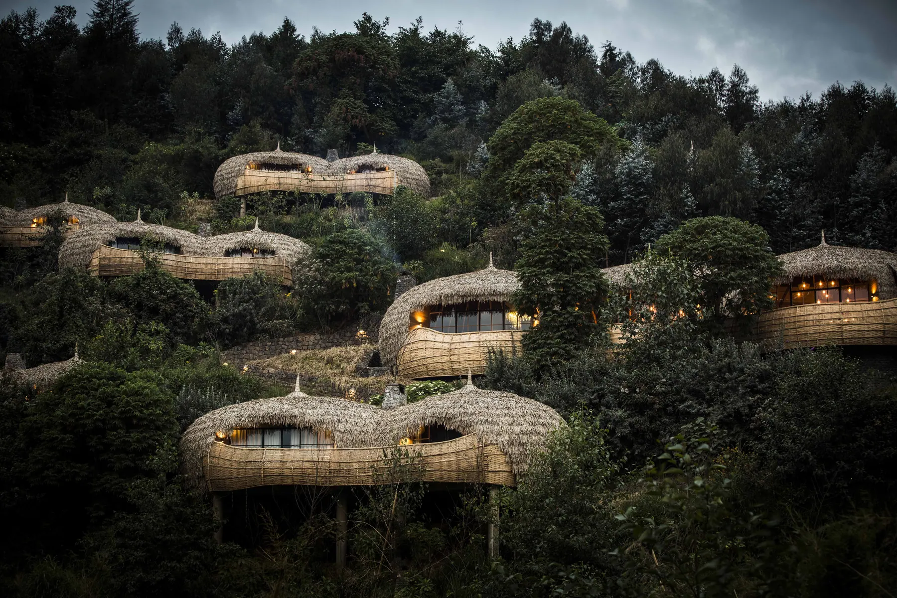 Thatched lodge suites set within a densely forested hillside